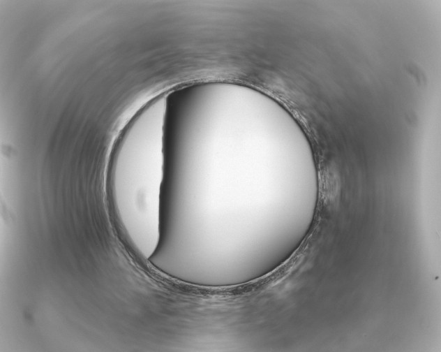 X0000091190196200708091028