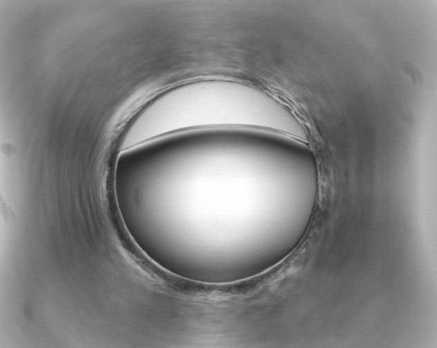 X0000091190197200708091028