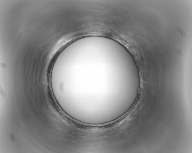 X0000091190198200708091028