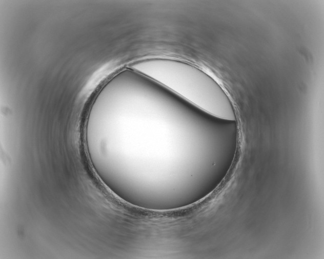 X0000091190199200708091028