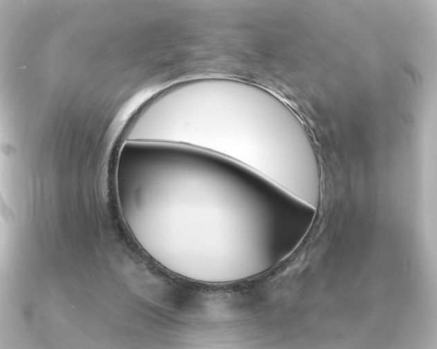 X0000091190200200708091028