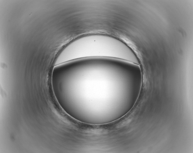 X0000091190201200708091028