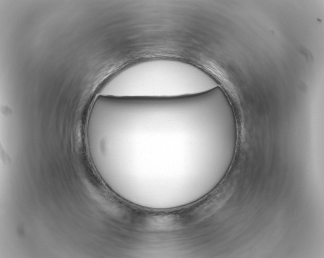 X0000091190202200708091028