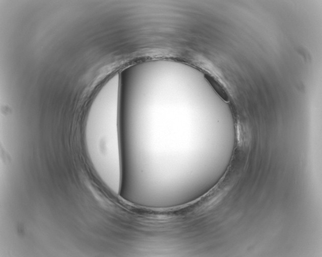 X0000091190205200708091028