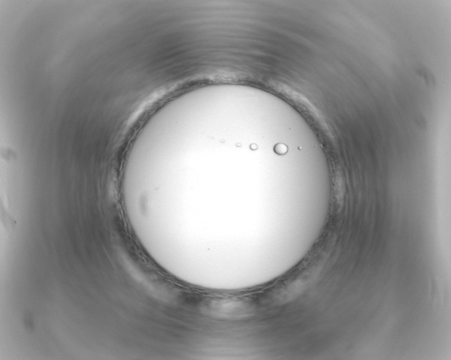 X0000091190208200708091028