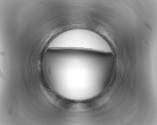 X0000091190212200708091028