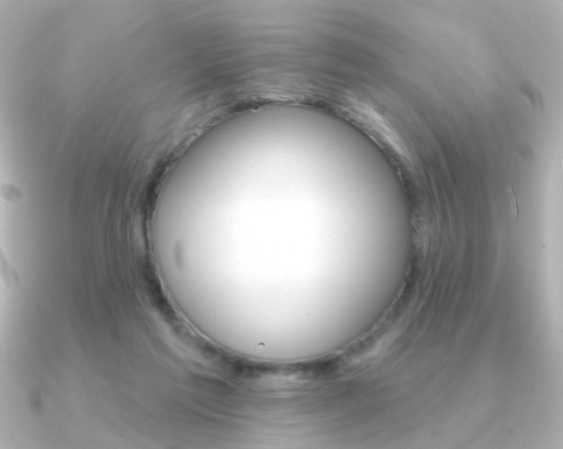 X0000091190213200708091028