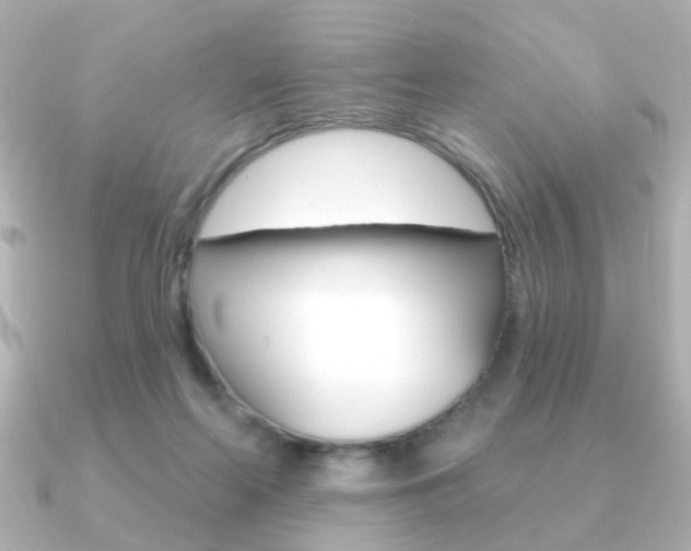 X0000091190214200708091028