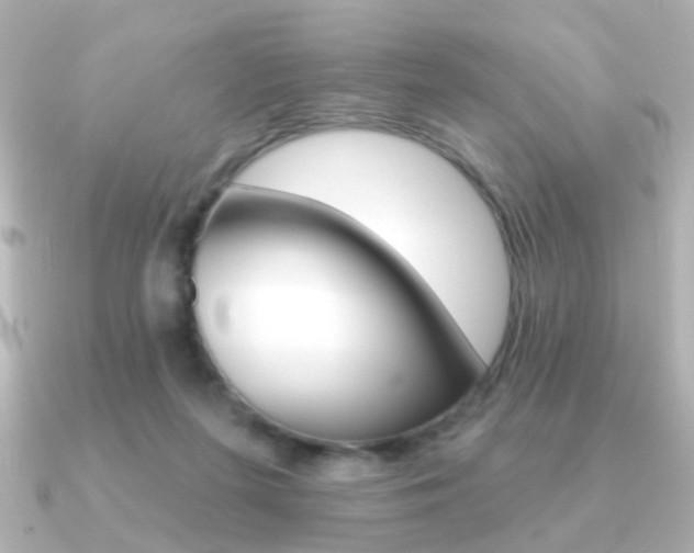 X0000091190215200708091028