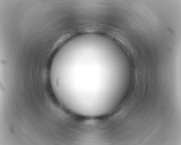 X0000091190216200708091028