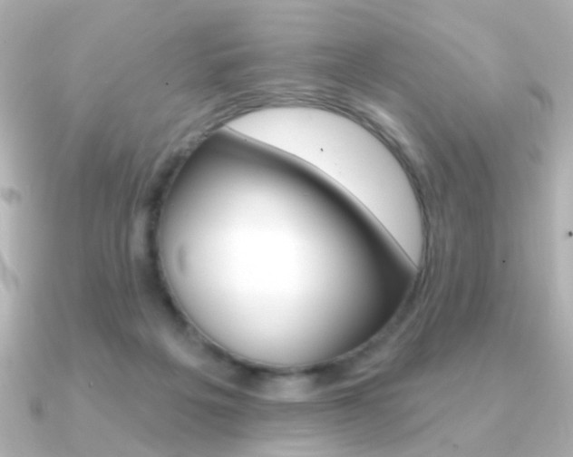 X0000091190217200708091028