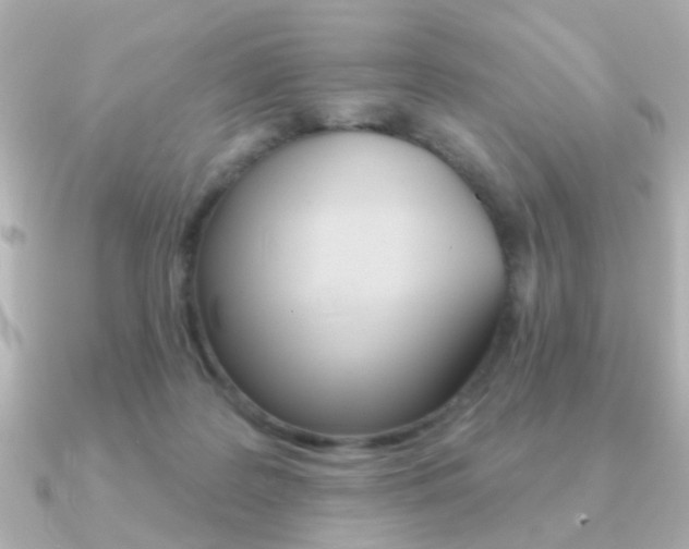 X0000091190219200708091028