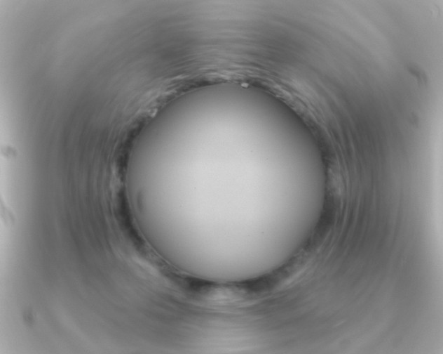 X0000091190223200708091028