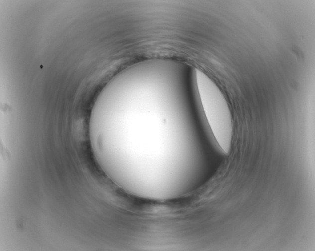 X0000091190224200708091028
