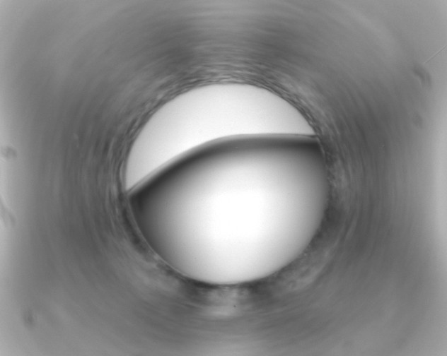 X0000091190225200708091028