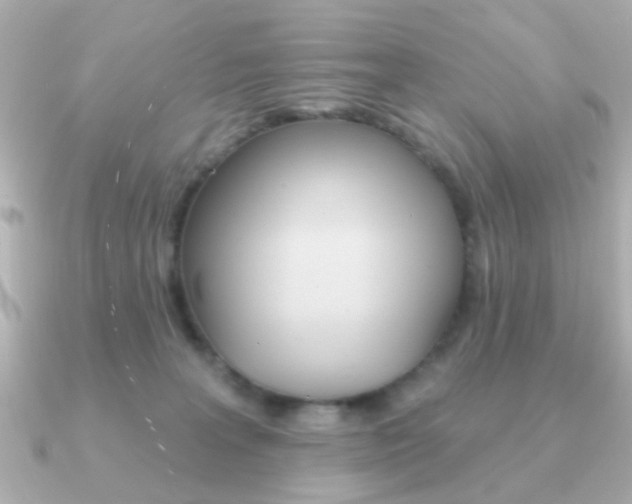 X0000091190227200708091028