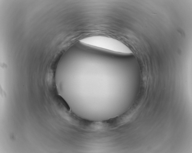 X0000091190231200708091028
