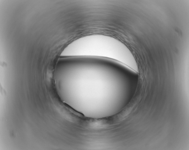 X0000091190235200708091028