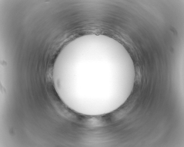 X0000091190236200708091028