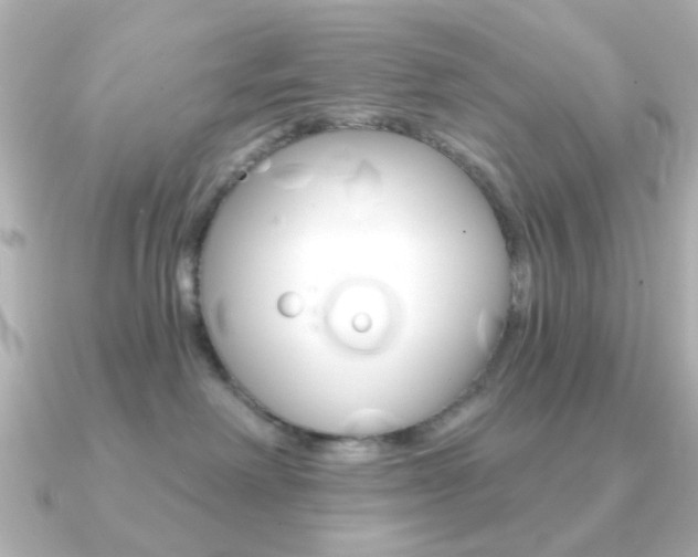 X0000091190238200708091028