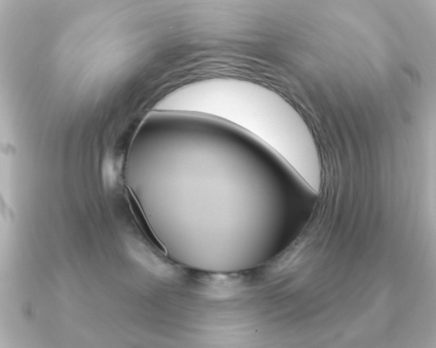 X0000091190239200708091028