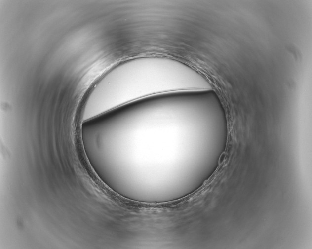 X0000091190242200708091027