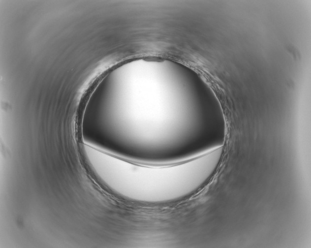 X0000091190244200708091027