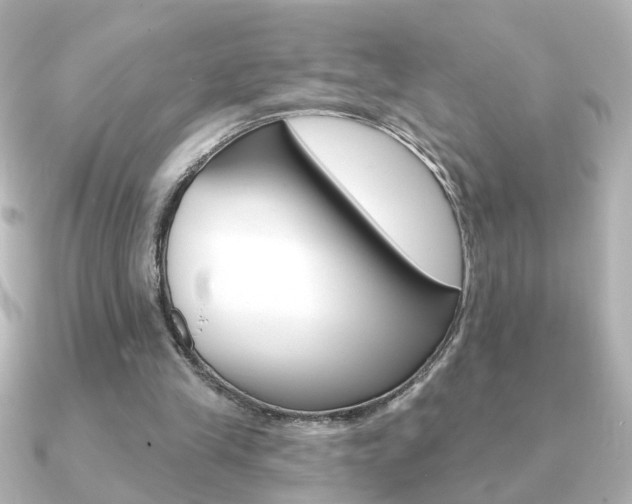 X0000091190245200708091027