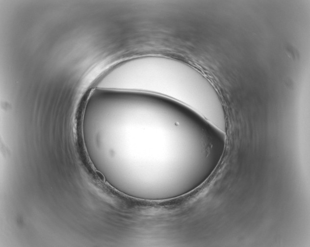 X0000091190246200708091027