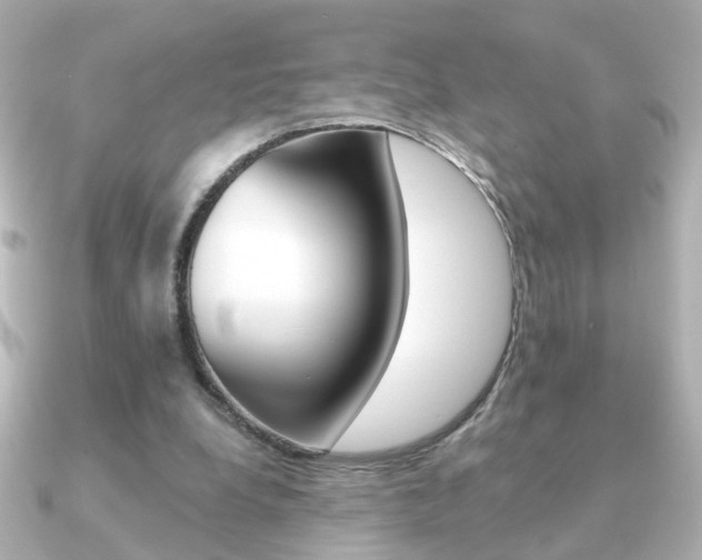 X0000091190248200708091027