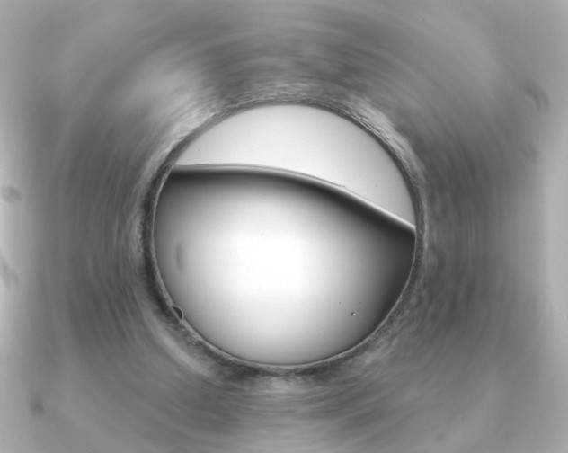 X0000091190250200708091027