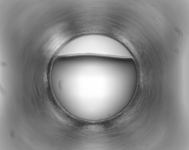 X0000091190251200708091027