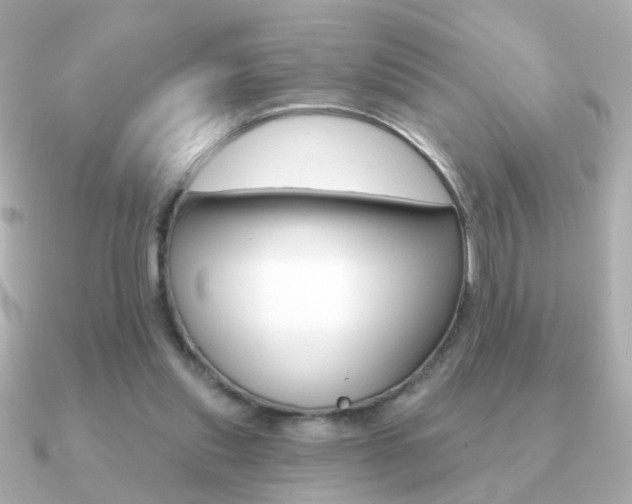 X0000091190253200708091027