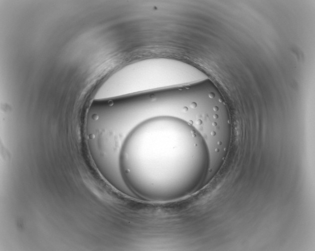 X0000091190254200708091027