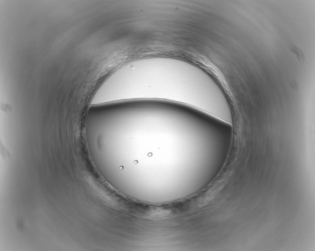X0000091190257200708091027