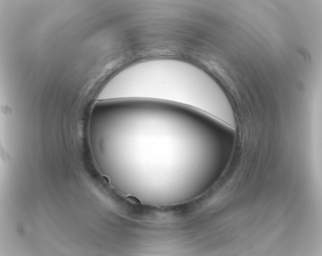 X0000091190260200708091027