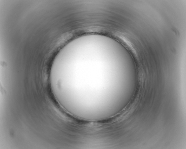 X0000091190261200708091027
