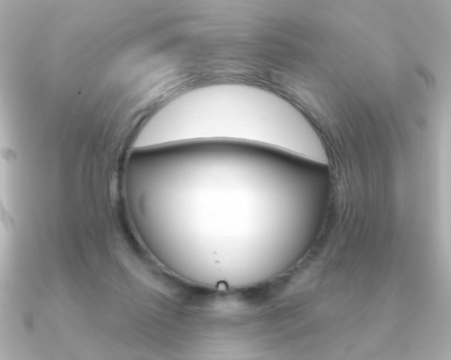 X0000091190262200708091027