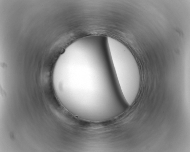 X0000091190263200708091027