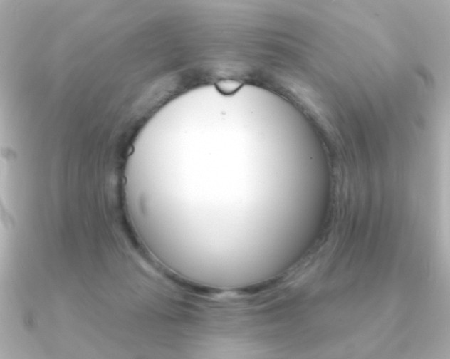X0000091190269200708091027