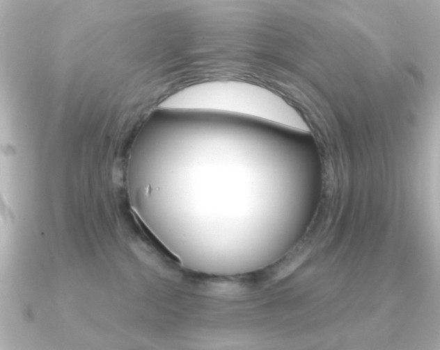 X0000091190284200708091028