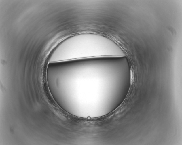 X0000091190291200708091027