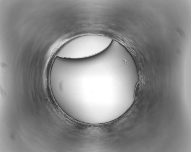 X0000091190294200708091027