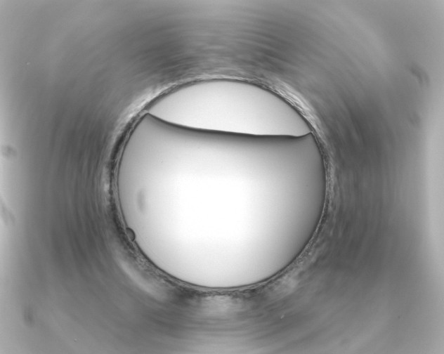 X0000091190298200708091027