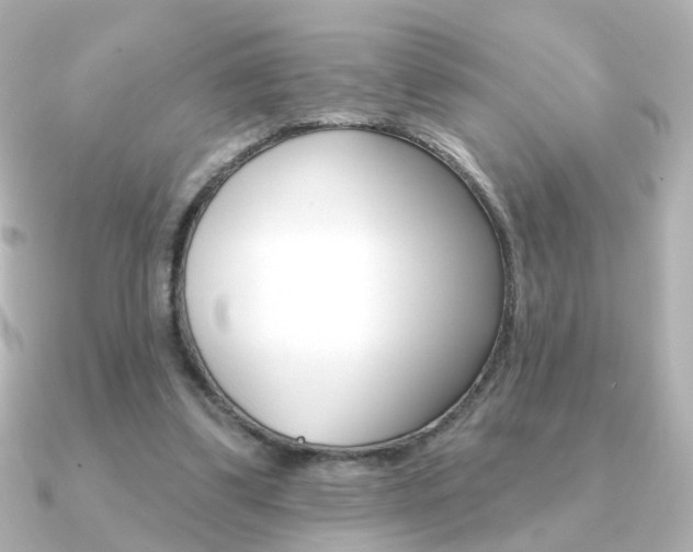 X0000091190299200708091027