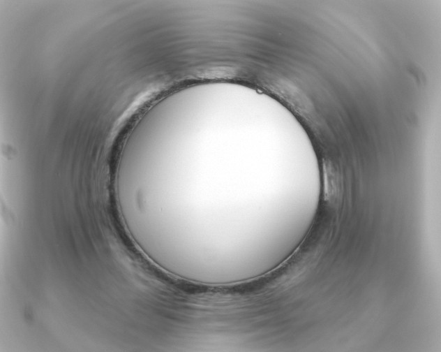 X0000091190300200708091027