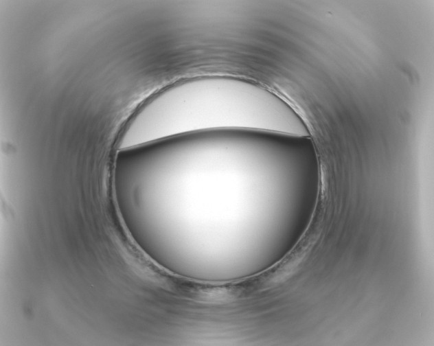 X0000091190301200708091027