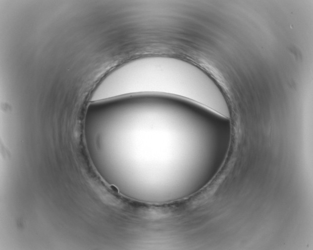 X0000091190305200708091027