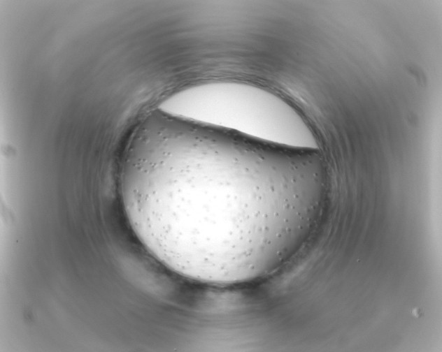 X0000091190311200708091027