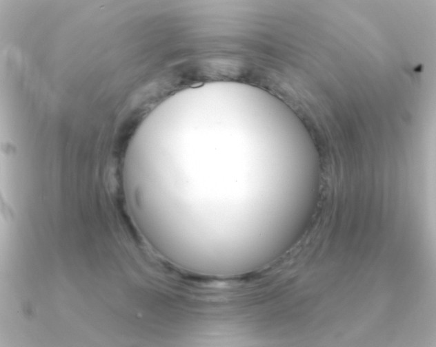 X0000091190323200708091027